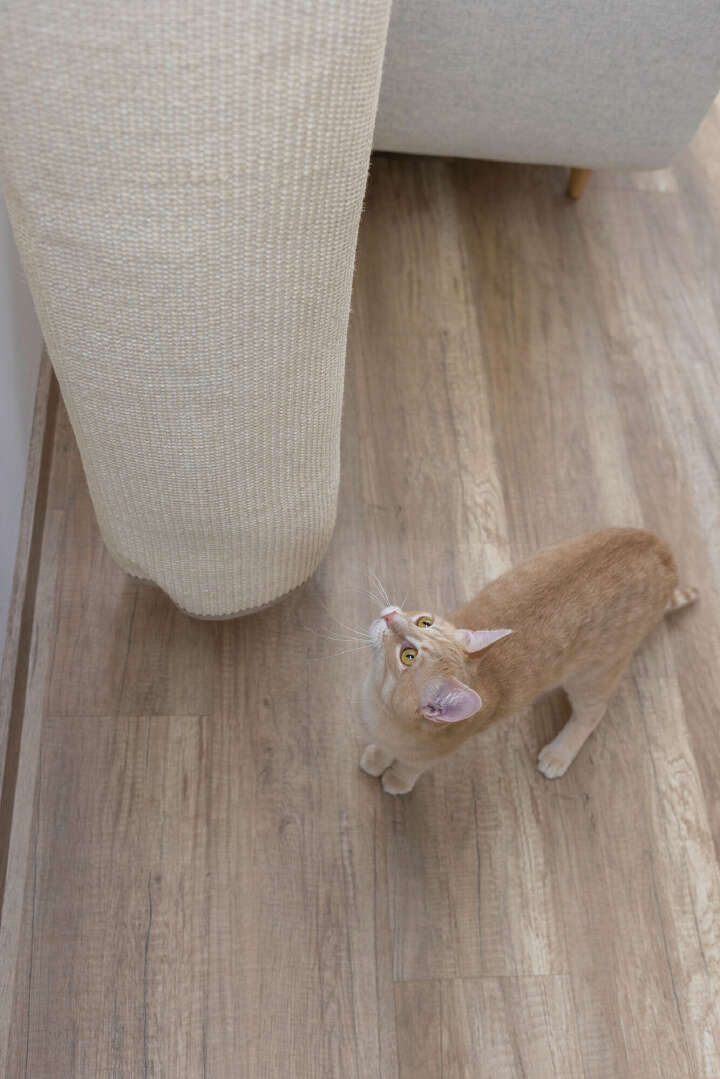 KERBL Klettersack Climber Mini